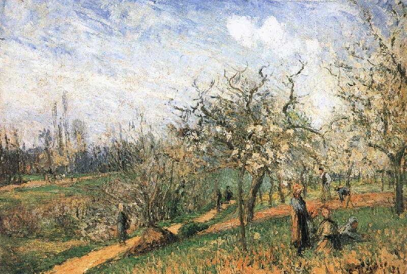 Camille Pissarro Pang map of apple Schwarz Spain oil painting art